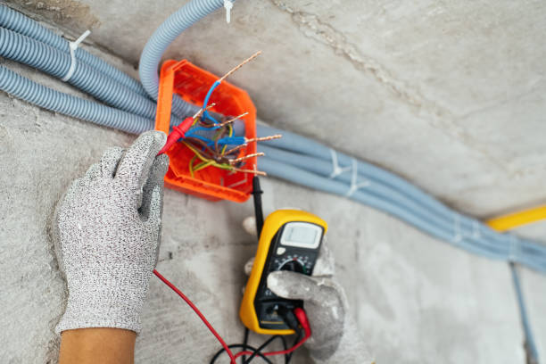 Best Electrician Near Me  in Janesville, MN